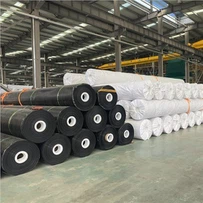 תוחם גיאוממברנה HDPE